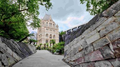 Natural History Museum Evolution Garden: A journey through the UK's geological history